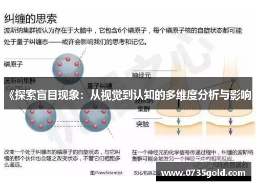 《探索盲目现象：从视觉到认知的多维度分析与影响》