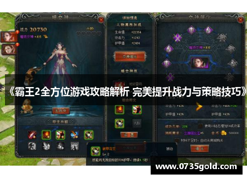 《霸王2全方位游戏攻略解析 完美提升战力与策略技巧》