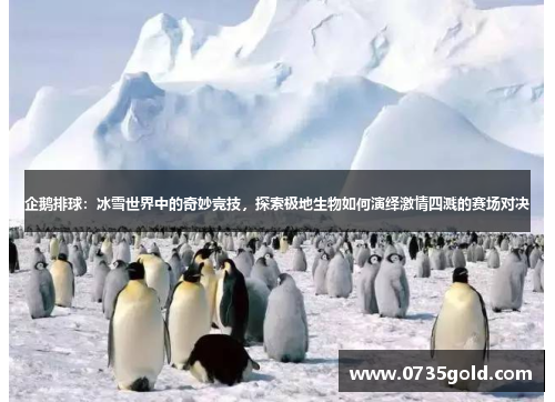 企鹅排球：冰雪世界中的奇妙竞技，探索极地生物如何演绎激情四溅的赛场对决