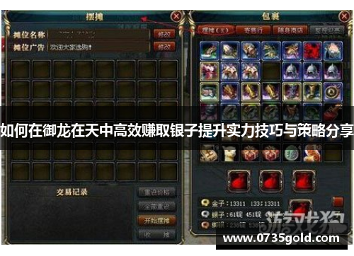 如何在御龙在天中高效赚取银子提升实力技巧与策略分享